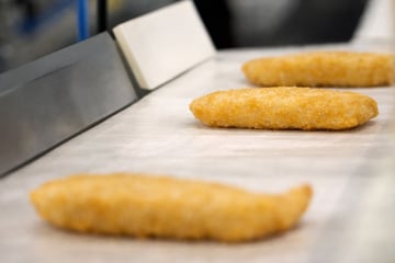 Par-fried frozen fish in production