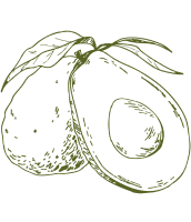 avocado-dark-green-icon-cards (1)