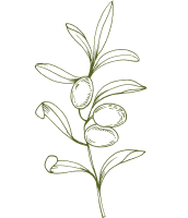 olive-branch-dark-green-icon-cards