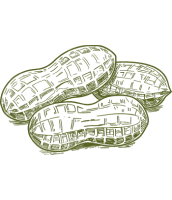 peanut-dark-green-icon-cards (1)