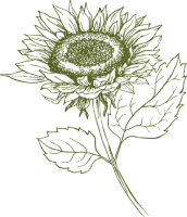 sunflower-dark-green-icon-cards (1)