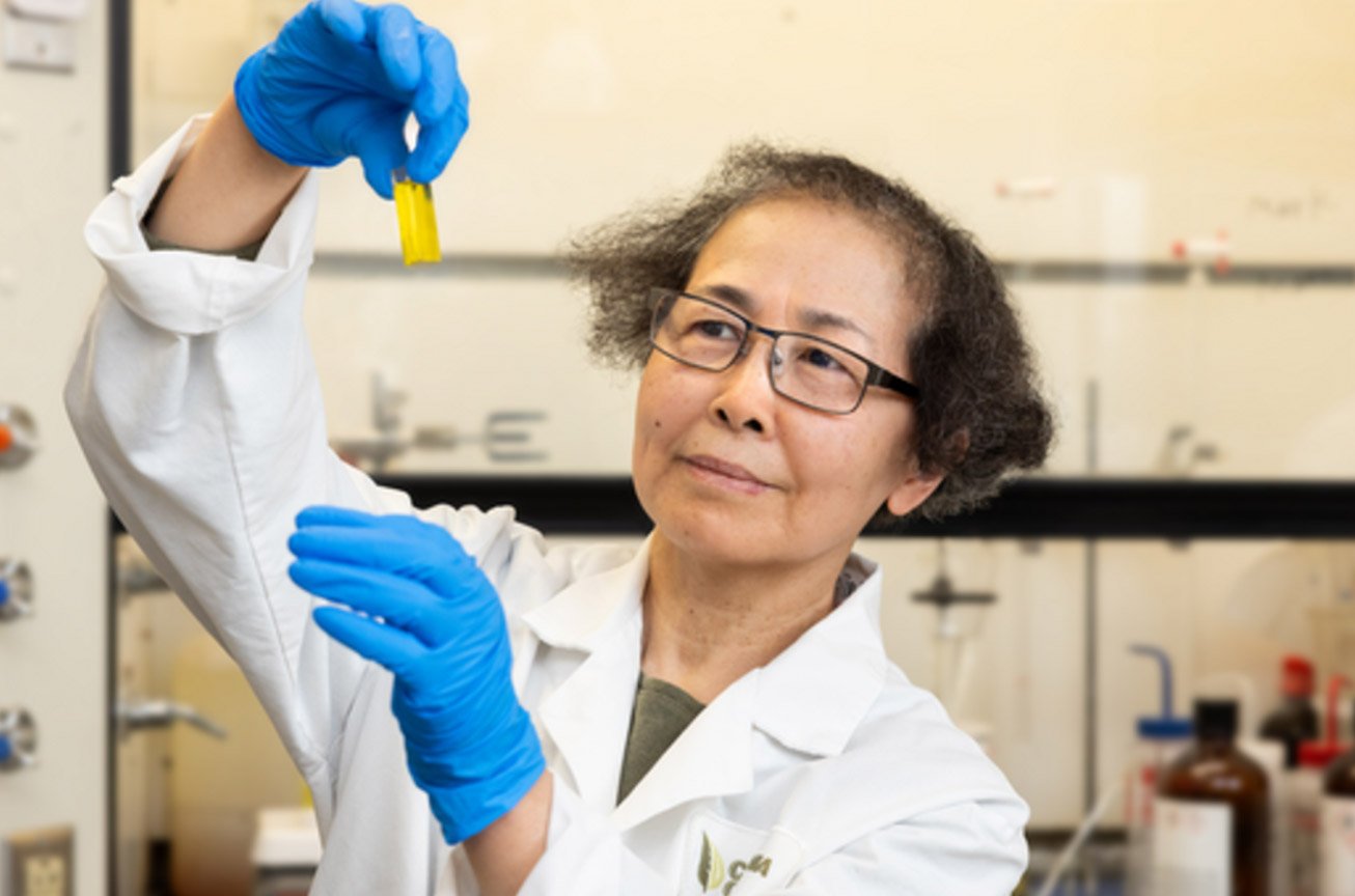 catania-oils-qa-guide-1