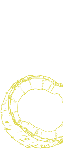 coconut-background-art-2