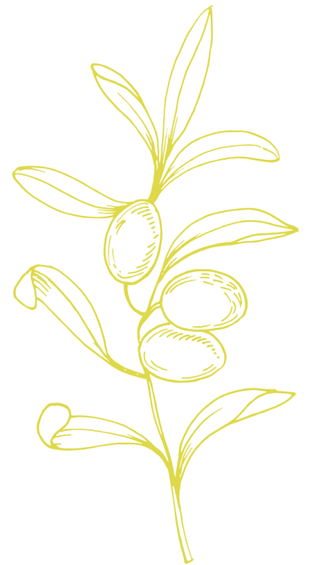 olive-branch-light-green-new