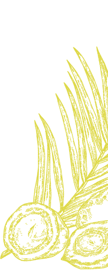 palm-background-art