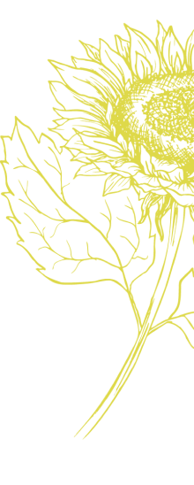 sunflower-background-art